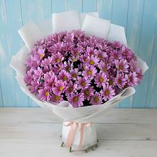 Букет цветов из:  Хризантемы #REPLACE_PRED# Покровке