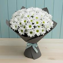 Букет цветов из:  Хризантемы #REPLACE_PRED# Покровке