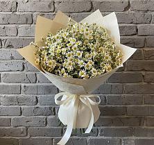 Букет цветов из:  Ромашки в Покровке