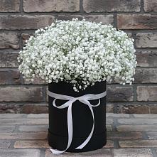 Цветочная композиция из Гипсофила в шляпной коробке в Покровке